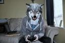 Фотография mrWolf