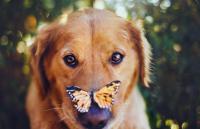 Фотография d1nutty